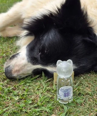 Kizuna Home Spray